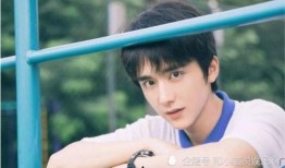 最新爆料张新成,揭秘明星背后的故事