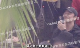 陈思诚最新爆料视频,影视圈幕后真相大曝光